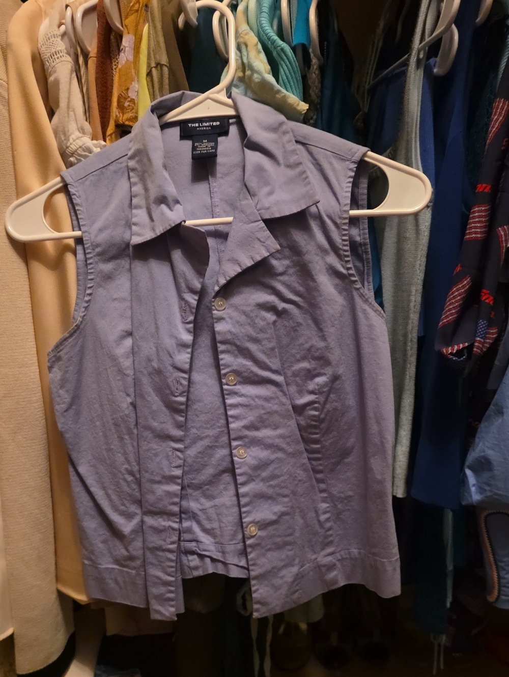 The Limited Sleeveless Button-Front Top in Lavender Blue